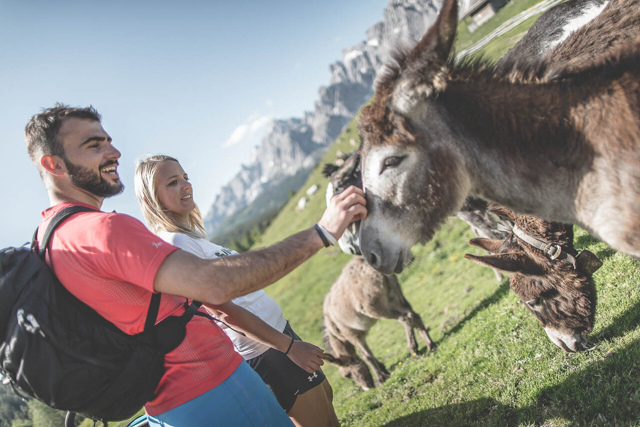 Wandern in Südtirol