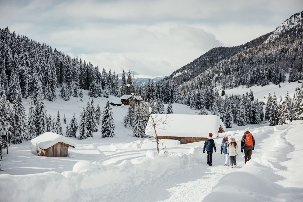Winter- und Schneeschuhwandern Dolomiten